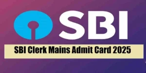 sbi clerk mains admit card